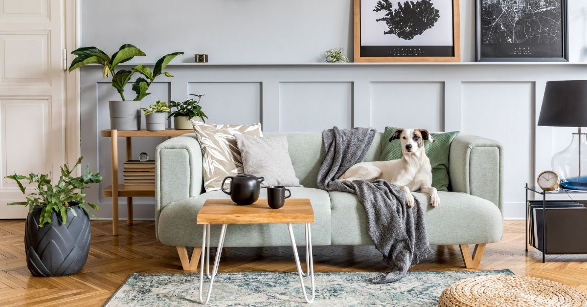By the window, wooden living Room table with 6 chairs around